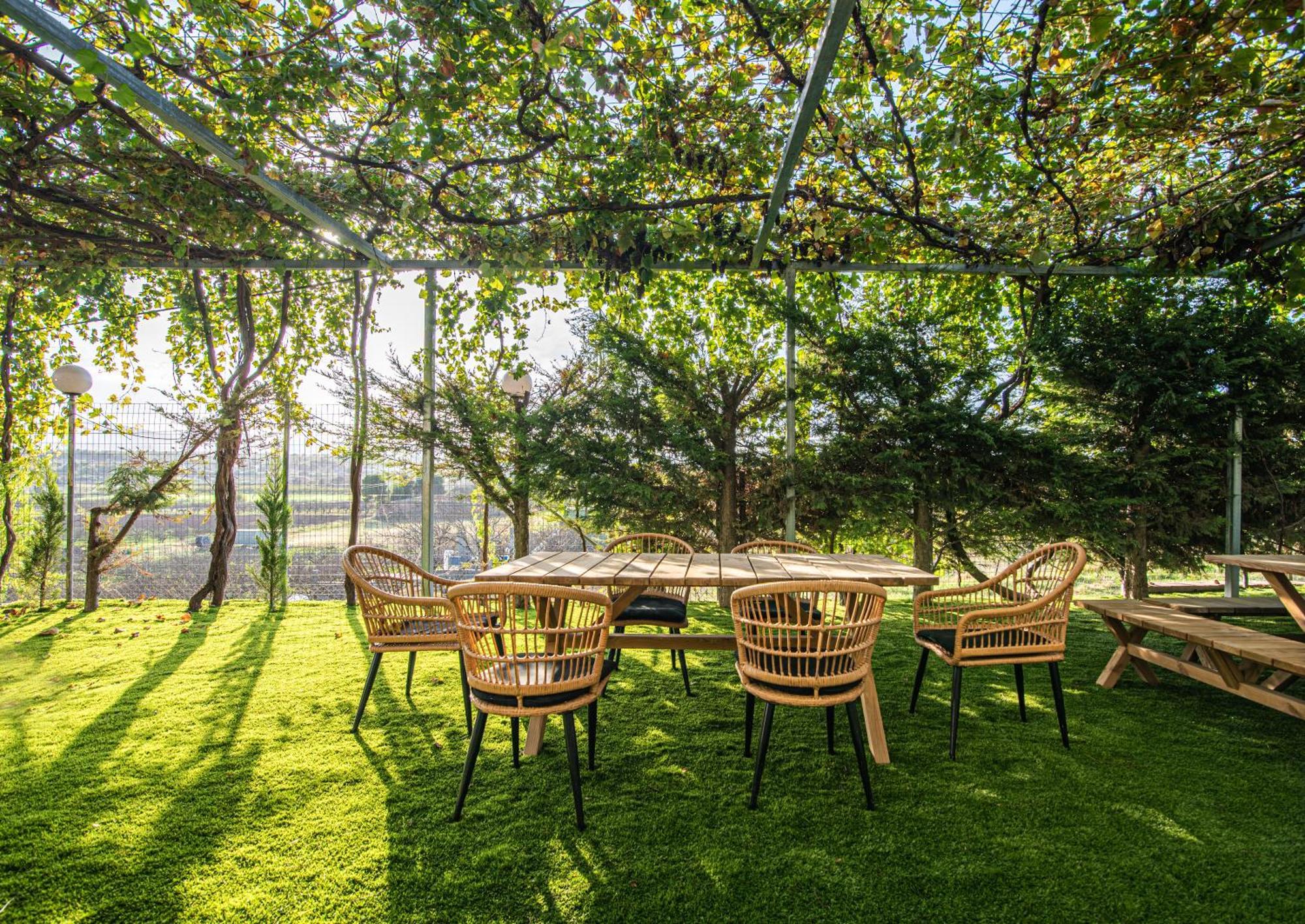 Iviskos Apartment Oinofyta Kültér fotó